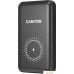 Внешний аккумулятор Canyon PB-1001 10000mAh (черный). Фото №1