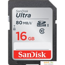 Карта памяти SanDisk SDHC (Class 10) 16GB [SDSDUNC-016G-GN6IN]