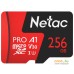 Карта памяти Netac 256GB 500 Extreme Pro NT02P500PRO-256G-R (с адаптером). Фото №1