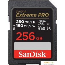 Карта памяти SanDisk Extreme PRO SDXC SDSDXEP-256G-GN4IN 256GB