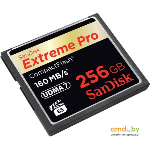 その他□SANDISK SDCFXPS-256G-X46 [256GB] - その他