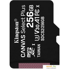 Карта памяти Kingston Canvas Select Plus microSDXC 256GB