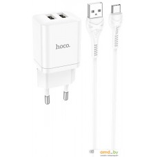 Сетевое зарядное Hoco N25 USB Type-C (белый)