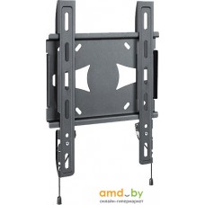 Кронштейн Holder LCDS-5045