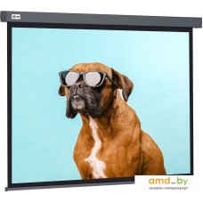 Проекционный экран CACTUS Wallscreen 149x265 CS-PSW-149X265-SG