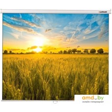 Проекционный экран Lumien Eco Picture (LEP-100101)