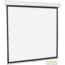 Проекционный экран ScreenMedia Goldview 274x206 SGM-4305