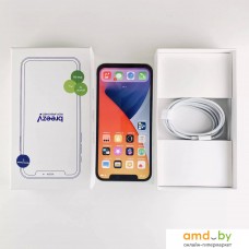 Смартфон Apple iPhone 12 Pro 256GB (серебристый)