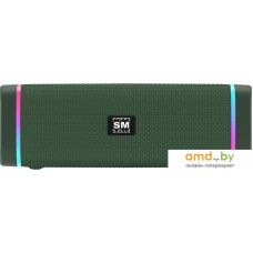 Беспроводная колонка Soundmax SM-PS5019B (зеленый)