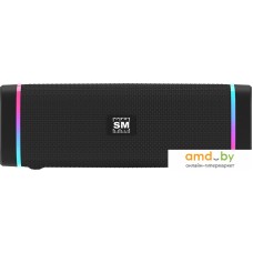 Беспроводная колонка Soundmax SM-PS5019B (черный)