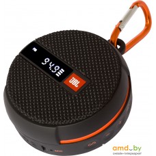 Беспроводная колонка JBL Wind 2