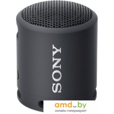 Беспроводная колонка Sony SRS-XB13 (черный)