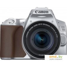 Зеркальный фотоаппарат Canon EOS 250D Kit 18-55 IS STM (серебристый)