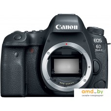 Зеркальный фотоаппарат Canon EOS 6D Mark II Body