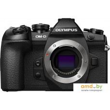 Беззеркальный фотоаппарат Olympus OM-D E-M1 Mark II Body