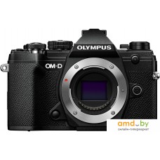 Беззеркальный фотоаппарат Olympus OM-D E-M5 Mark III Body (черный)