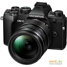 Беззеркальный фотоаппарат Olympus OM-D E-M5 Mark III Kit 12-40mm (черный)