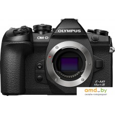 Беззеркальный фотоаппарат Olympus OM-D E-M1 mark III Body