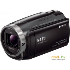 Видеокамера Sony HDR-CX625