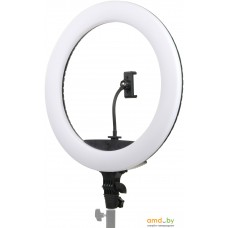 Falcon Eyes BeautyLight 450R LED