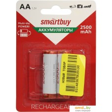 Аккумуляторы SmartBuy AA 2500mAh 2 шт. SBBR-2A02BL2500