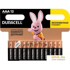 Батарейка DURACELL AAA 12 шт.