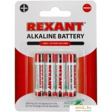 Батарейки Rexant AAA/LR03 4шт 30-1012