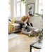 Пылесос Karcher VC 4 Cordless myHome Pet 1.198-633.0. Фото №8