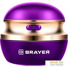 Brayer BR5031