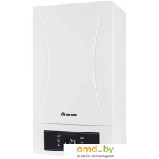 Отопительный котел Thermex Sirius PS24