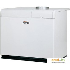 Отопительный котел Ferroli Pegasus F3 N 2S 119