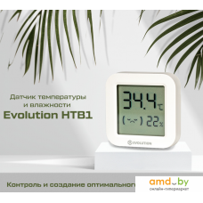 Термогигрометр Evolution HTB1