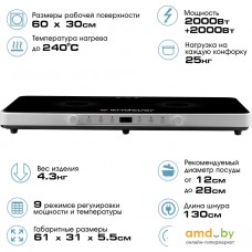 Настольная плита Endever Skyline IP-61