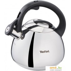 Чайник со свистком Tefal Duetto+ N4180110