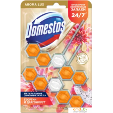 Средство для унитаза Domestos Power 5 Экзотический букет Дуо 2x50 г