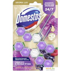 Средство для унитаза Domestos Power 5 Сказочный аромат Дуо 2x50 г