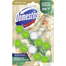 Средство для унитаза Domestos Power 5 Свежесть зеленого чая Дуо 2x50 г