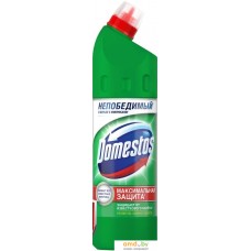 Средство универсальное Domestos Хвойная свежесть 500 мл