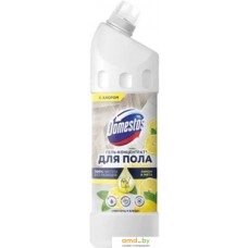 Средство для пола Domestos Чистота и блеск 1 л