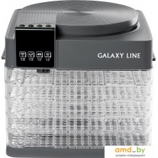 Сушилка для овощей и фруктов Galaxy Line GL2630 (серый)