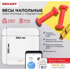 Напольные весы Rexant 72-1010