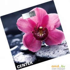 Напольные весы CENTEK CT-2421 (цветок)