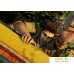 Uncharted: Натан Дрейк. Kоллекция (с русской озвучкой) для PlayStation 4. Фото №6