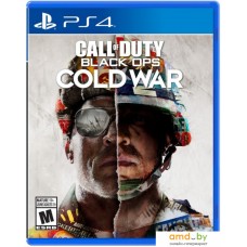 Call of Duty: Black Ops Cold War для PlayStation 4