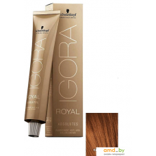 Крем-краска для волос Schwarzkopf Professional Igora Royal Absolutes 6-70 60мл