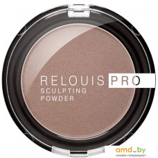 Скульптор Relouis Pro Sculpting Powder Universal 01