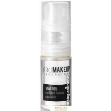 PROMAKEUP Star Veil Сияющая (4.5 г)