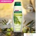 Косметика по уходу за волосами Palmolive Шампунь для волос Увлажнение масло оливы 380 мл. Фото №2