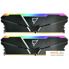 Оперативная память Netac Shadow RGB 2x8ГБ DDR4 2666МГц NTSRD4P26DP-16E