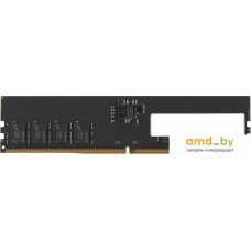 Оперативная память KingSpec 8ГБ DDR5 4800 МГц KS4800D5P11008G